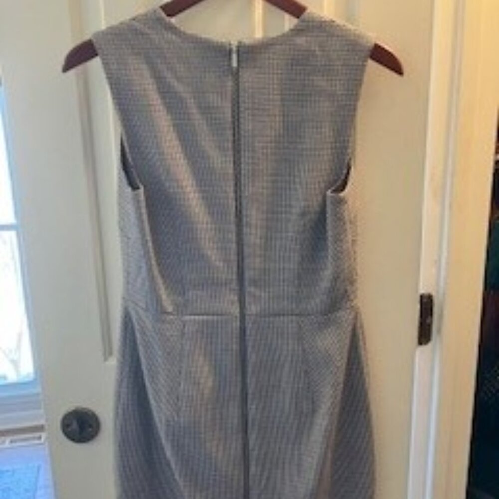 Ann Taylor Shift Dress